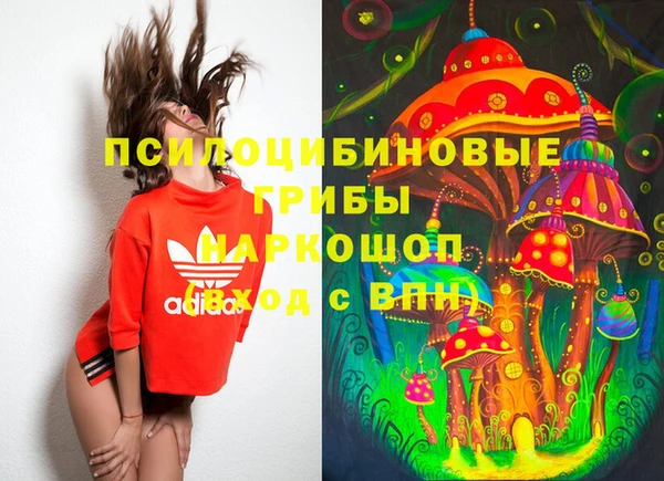 бутират Белокуриха