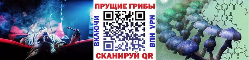 Псилоцибиновые грибы мухоморы  площадка клад  Будённовск 